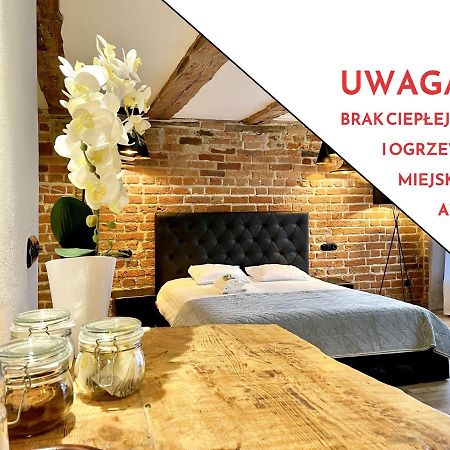 Maria 3 Apartment Торунь Экстерьер фото